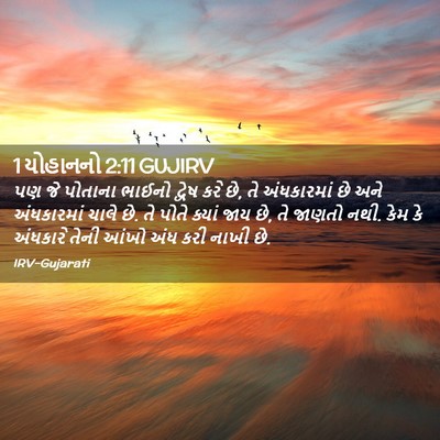 Picture 02 - 1 યોહાનનો 2:11 GUJIRV - પણ જે પોતાના ભાઈનો - Bible Verse Picture