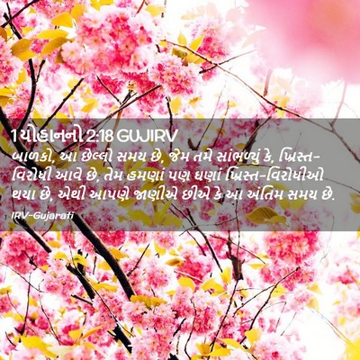 Picture 02 - 1 યોહાનનો 2:18 GUJIRV - બાળકો, આ છેલ્લો સમય - Bible Verse Picture