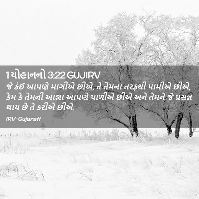 Picture 02 - 1 યોહાનનો 3:22 GUJIRV - જે કંઈ આપણે માગીએ - Bible Verse Picture
