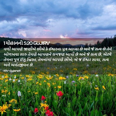Picture 02 - 1 યોહાનનો 5:20 GUJIRV - વળી આપણે જાણીએ છીએ - Bible Verse Picture
