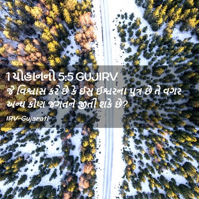 Picture 02 - 1 યોહાનનો 5:5 GUJIRV - જે વિશ્વાસ કરે છે - Bible Verse Picture