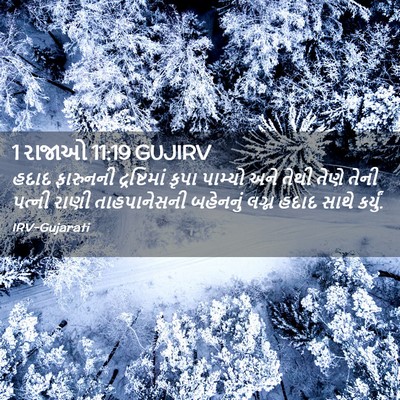 Picture 02 - 1 રાજાઓ 11:19 GUJIRV - હદાદ ફારુનની - Bible Verse Picture