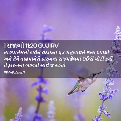 Picture 02 - 1 રાજાઓ 11:20 GUJIRV - તાહપાનેસની બહેને - Bible Verse Picture