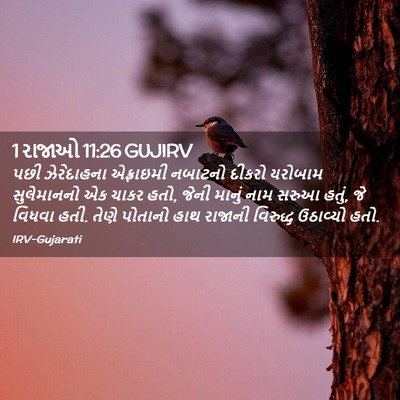 Picture 02 - 1 રાજાઓ 11:26 GUJIRV - પછી ઝેરેદાહના - Bible Verse Picture