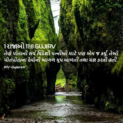 Picture 02 - 1 રાજાઓ 11:8 GUJIRV - તેણે પોતાની સર્વ - Bible Verse Picture