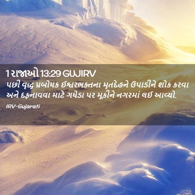 Picture 02 - 1 રાજાઓ 13:29 GUJIRV - પછી વૃદ્ધ પ્રબોધક - Bible Verse Picture