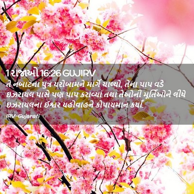 Picture 02 - 1 રાજાઓ 16:26 GUJIRV - તે નબાટના પુત્ર - Bible Verse Picture