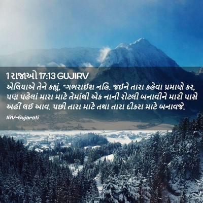 Picture 02 - 1 રાજાઓ 17:13 GUJIRV - એલિયાએ તેને - Bible Verse Picture