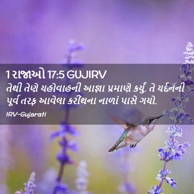 Picture 02 - 1 રાજાઓ 17:5 GUJIRV - તેથી તેણે - Bible Verse Picture