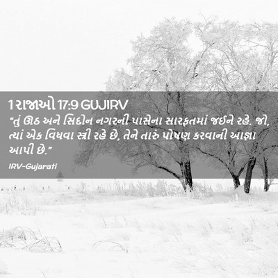 Picture 02 - 1 રાજાઓ 17:9 GUJIRV - “તું ઊઠ અને સિદોન - Bible Verse Picture