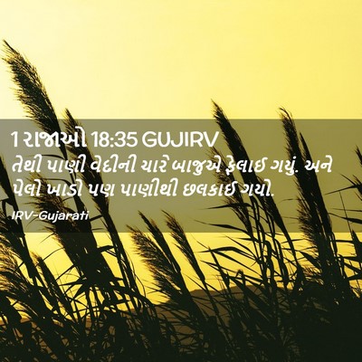 Picture 02 - 1 રાજાઓ 18:35 GUJIRV - તેથી પાણી વેદીની - Bible Verse Picture