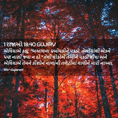 Picture 02 - 1 રાજાઓ 18:40 GUJIRV - એલિયાએ કહ્યું, - Bible Verse Picture