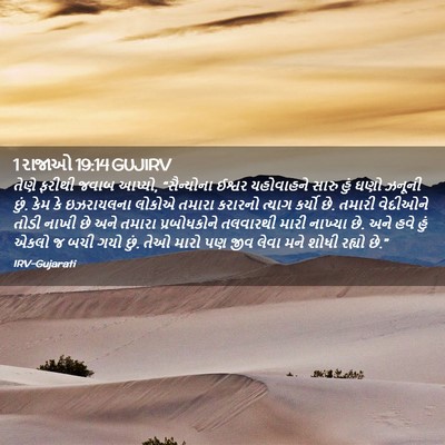Picture 02 - 1 રાજાઓ 19:14 GUJIRV - તેણે ફરીથી જવાબ - Bible Verse Picture