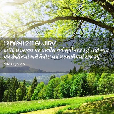 Picture 02 - 1 રાજાઓ 2:11 GUJIRV - દાઉદે ઇઝરાયલ પર - Bible Verse Picture