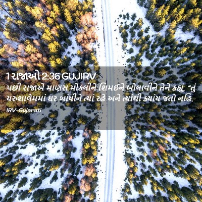 Picture 02 - 1 રાજાઓ 2:36 GUJIRV - પછી રાજાએ માણસ - Bible Verse Picture