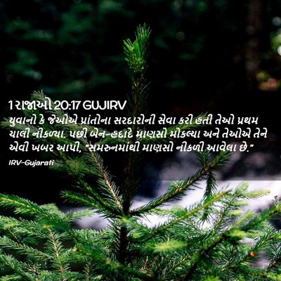 Picture 02 - 1 રાજાઓ 20:17 GUJIRV - યુવાનો કે જેઓએ - Bible Verse Picture