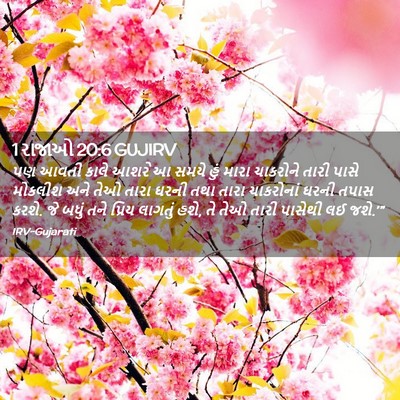 Picture 02 - 1 રાજાઓ 20:6 GUJIRV - પણ આવતી કાલે આશરે આ - Bible Verse Picture