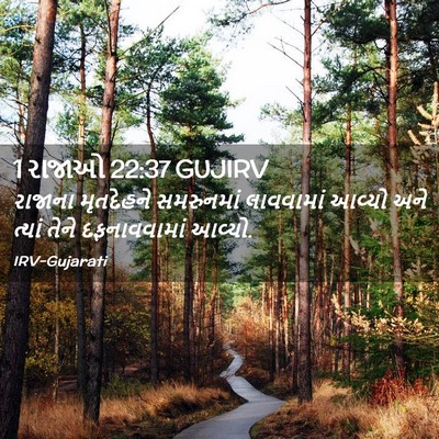 Picture 02 - 1 રાજાઓ 22:37 GUJIRV - રાજાના મૃતદેહને - Bible Verse Picture
