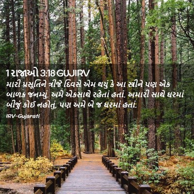 Picture 02 - 1 રાજાઓ 3:18 GUJIRV - મારી પ્રસૂતિને - Bible Verse Picture