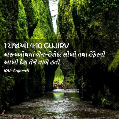 Picture 02 - 1 રાજાઓ 4:10 GUJIRV - અરૂબ્બોથમાં - Bible Verse Picture
