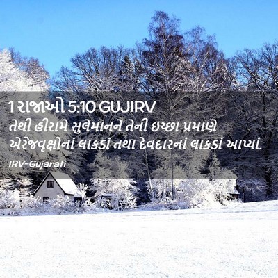 Picture 02 - 1 રાજાઓ 5:10 GUJIRV - તેથી હીરામે - Bible Verse Picture