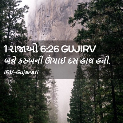Picture 02 - 1 રાજાઓ 6:26 GUJIRV - બન્ને કરુબની - Bible Verse Picture