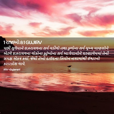 Picture 02 - 1 રાજાઓ 8:1 GUJIRV - પછી સુલેમાને - Bible Verse Picture