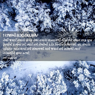 Picture 02 - 1 રાજાઓ 8:30 GUJIRV - તેથી જયારે તમારો - Bible Verse Picture
