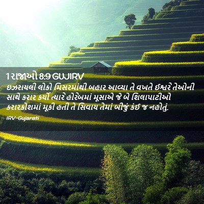Picture 02 - 1 રાજાઓ 8:9 GUJIRV - ઇઝરાયલી લોકો - Bible Verse Picture