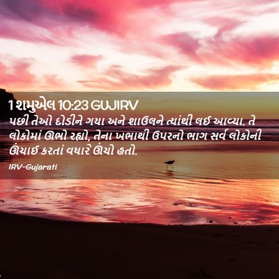 Picture 02 - 1 શમુએલ 10:23 GUJIRV - પછી તેઓ દોડીને ગયા - Bible Verse Picture