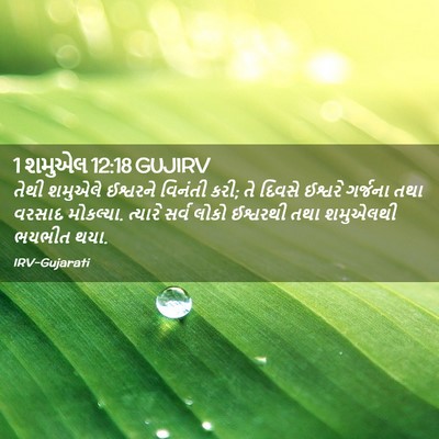 Picture 02 - 1 શમુએલ 12:18 GUJIRV - તેથી શમુએલે - Bible Verse Picture