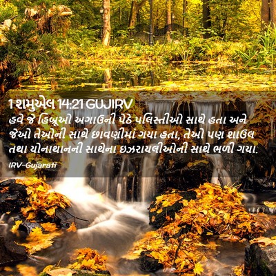Picture 02 - 1 શમુએલ 14:21 GUJIRV - હવે જે હિબ્રૂઓ - Bible Verse Picture