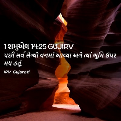 Picture 02 - 1 શમુએલ 14:25 GUJIRV - પછી સર્વ સૈન્યો - Bible Verse Picture