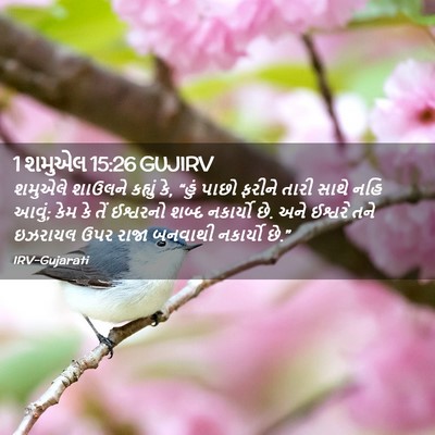 Picture 02 - 1 શમુએલ 15:26 GUJIRV - શમુએલે શાઉલને - Bible Verse Picture