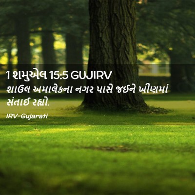 Picture 02 - 1 શમુએલ 15:5 GUJIRV - શાઉલ અમાલેકના નગર - Bible Verse Picture