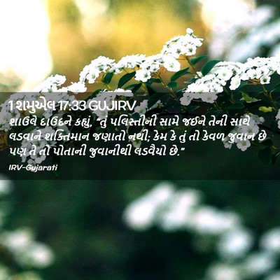 Picture 02 - 1 શમુએલ 17:33 GUJIRV - શાઉલે દાઉદને - Bible Verse Picture