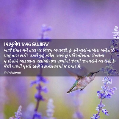 Picture 02 - 1 શમુએલ 17:46 GUJIRV - આજે ઈશ્વર મને તારા - Bible Verse Picture