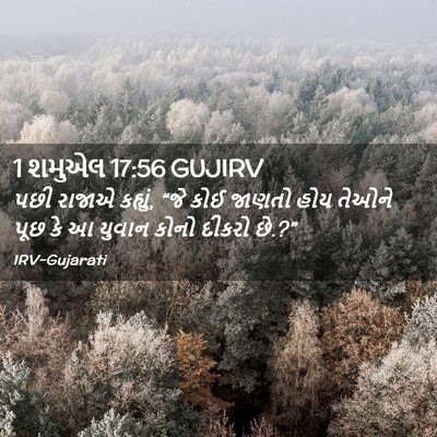 Picture 02 - 1 શમુએલ 17:56 GUJIRV - પછી રાજાએ કહ્યું, - Bible Verse Picture