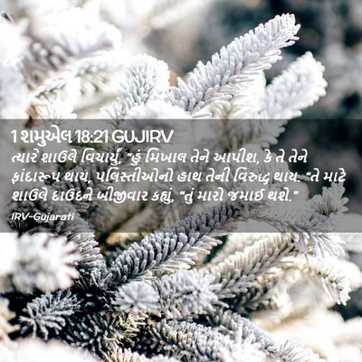 Picture 02 - 1 શમુએલ 18:21 GUJIRV - ત્યારે શાઉલે - Bible Verse Picture