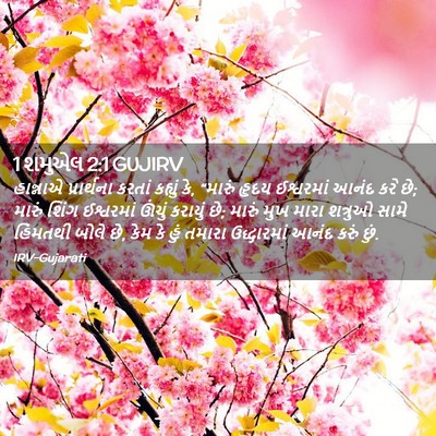 Picture 02 - 1 શમુએલ 2:1 GUJIRV - હાન્નાએ પ્રાર્થના - Bible Verse Picture