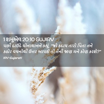 Picture 02 - 1 શમુએલ 20:10 GUJIRV - પછી દાઉદે - Bible Verse Picture