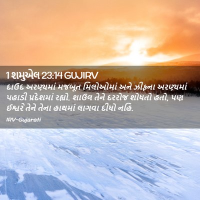 Picture 02 - 1 શમુએલ 23:14 GUJIRV - દાઉદ અરણ્યમાં - Bible Verse Picture
