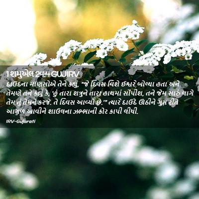 Picture 02 - 1 શમુએલ 24:4 GUJIRV - દાઉદના માણસોએ - Bible Verse Picture