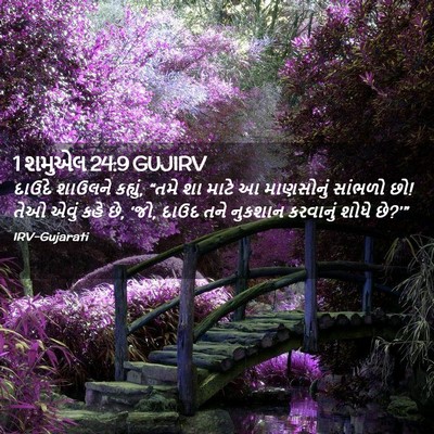 Picture 02 - 1 શમુએલ 24:9 GUJIRV - દાઉદે શાઉલને - Bible Verse Picture