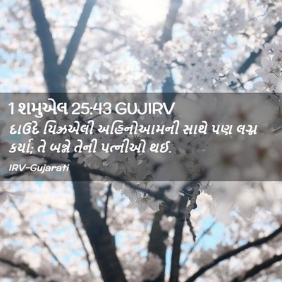 Picture 02 - 1 શમુએલ 25:43 GUJIRV - દાઉદે યિઝ્રએલી - Bible Verse Picture