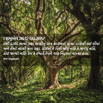 Picture 02 - 1 શમુએલ 26:12 GUJIRV - તેથી દાઉદે ભાલો - Bible Verse Picture