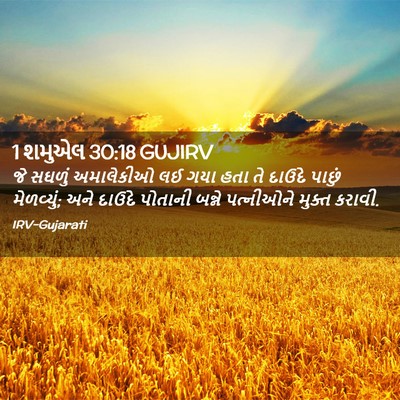 Picture 02 - 1 શમુએલ 30:18 GUJIRV - જે સઘળું અમાલેકીઓ - Bible Verse Picture