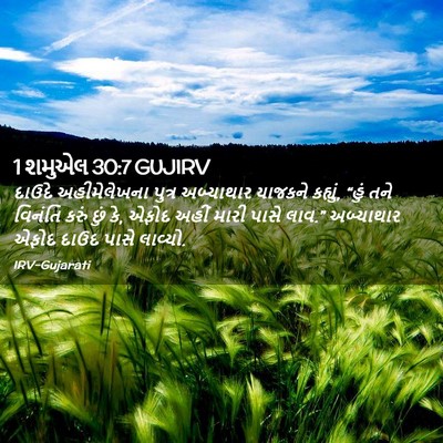 Picture 02 - 1 શમુએલ 30:7 GUJIRV - દાઉદે અહીમેલેખના - Bible Verse Picture