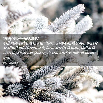 Picture 02 - 1 શમુએલ 4:4 GUJIRV - જેથી લોકોએ - Bible Verse Picture