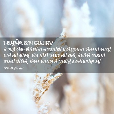 Picture 02 - 1 શમુએલ 6:14 GUJIRV - તે ગાડું - Bible Verse Picture